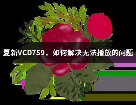 夏新VCD759，如何解决无法播放的问题-1