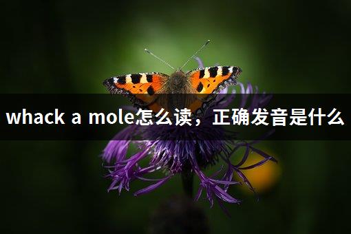 whack a mole怎么读，正确发音是什么-1
