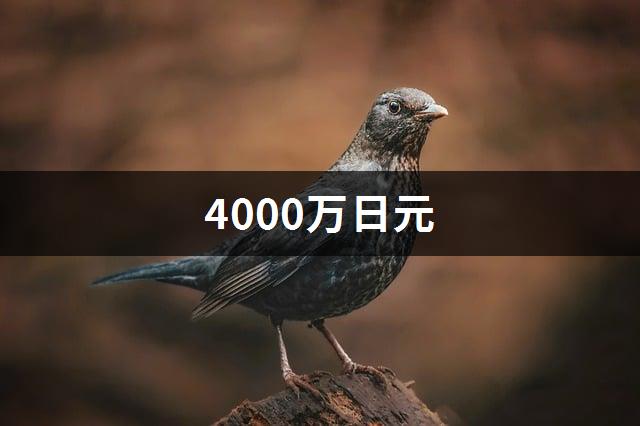 4000万日元-1