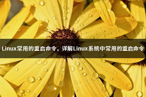 Linux常用的重启命令，详解Linux系统中常用的重启命令-1