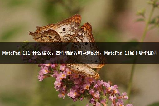 MatePad 11是什么档次，高性能配置和卓越设计，MatePad 11属于哪个级别-1