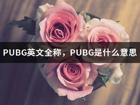 PUBG英文全称，PUBG是什么意思-1
