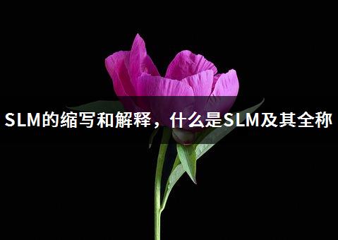 SLM的缩写和解释，什么是SLM及其全称-1