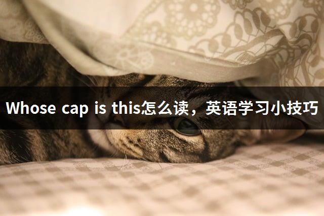 Whose cap is this怎么读，英语学习小技巧-1
