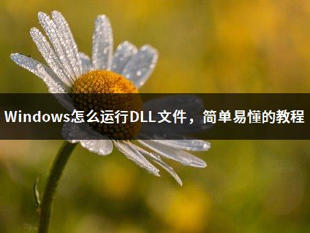 Windows怎么运行DLL文件，简单易懂的教程-1