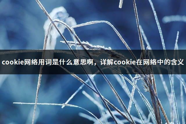cookie网络用词是什么意思啊，详解cookie在网络中的含义-1