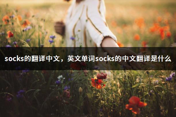 socks的翻译中文，英文单词socks的中文翻译是什么-1